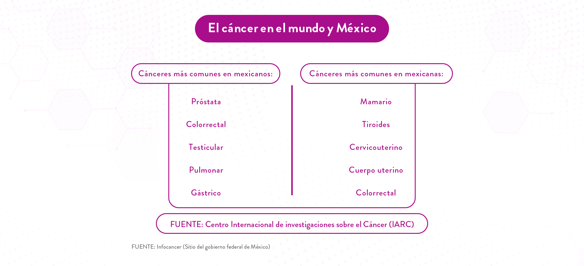 ProsureSitioWebTiposDeCancerBannerBlogArticulo1-2